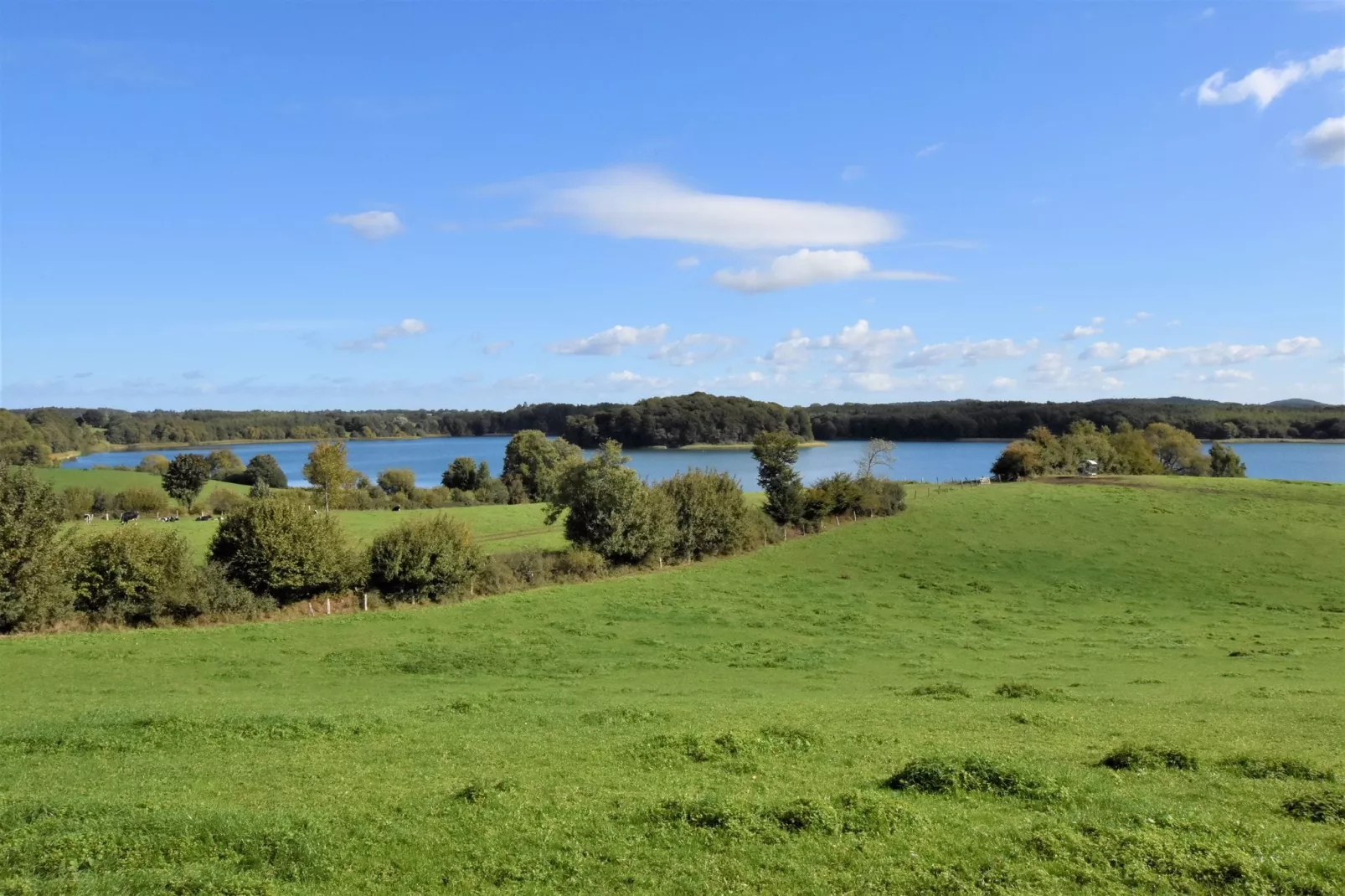 Idylle am Schluensee-Gebieden zomer 1km