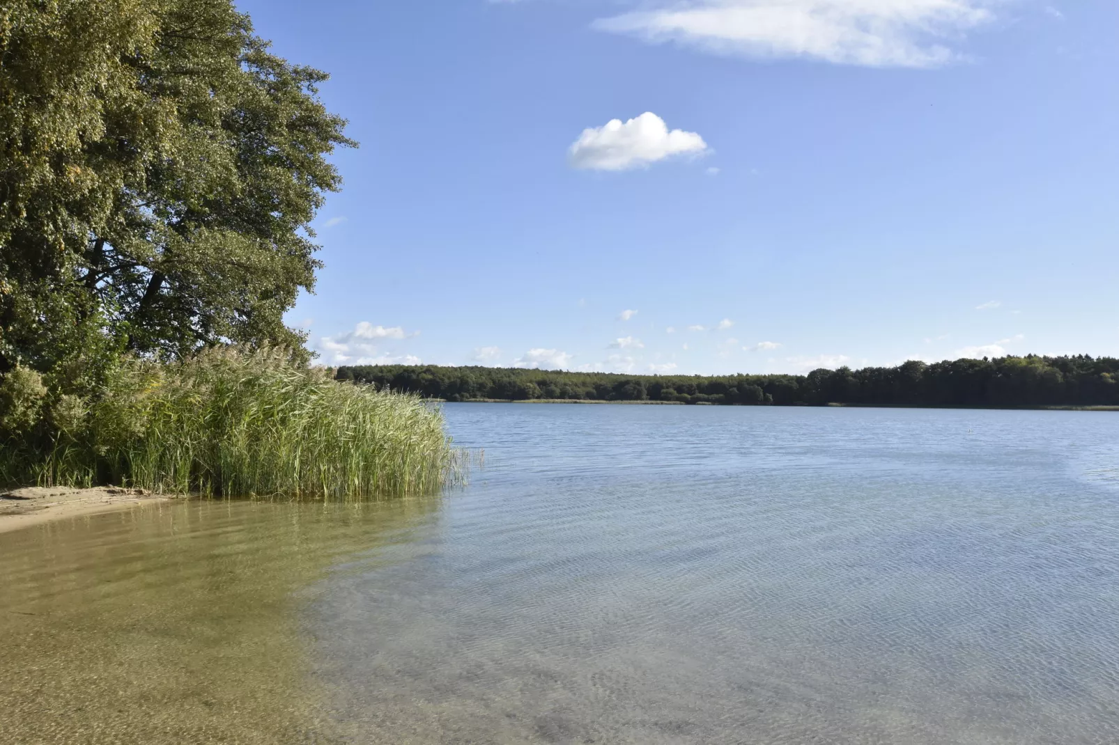 Idylle am Schluensee-Gebieden zomer 5km