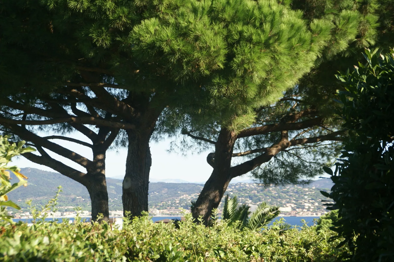 Villa Saint Tropez-Uitzicht zomer