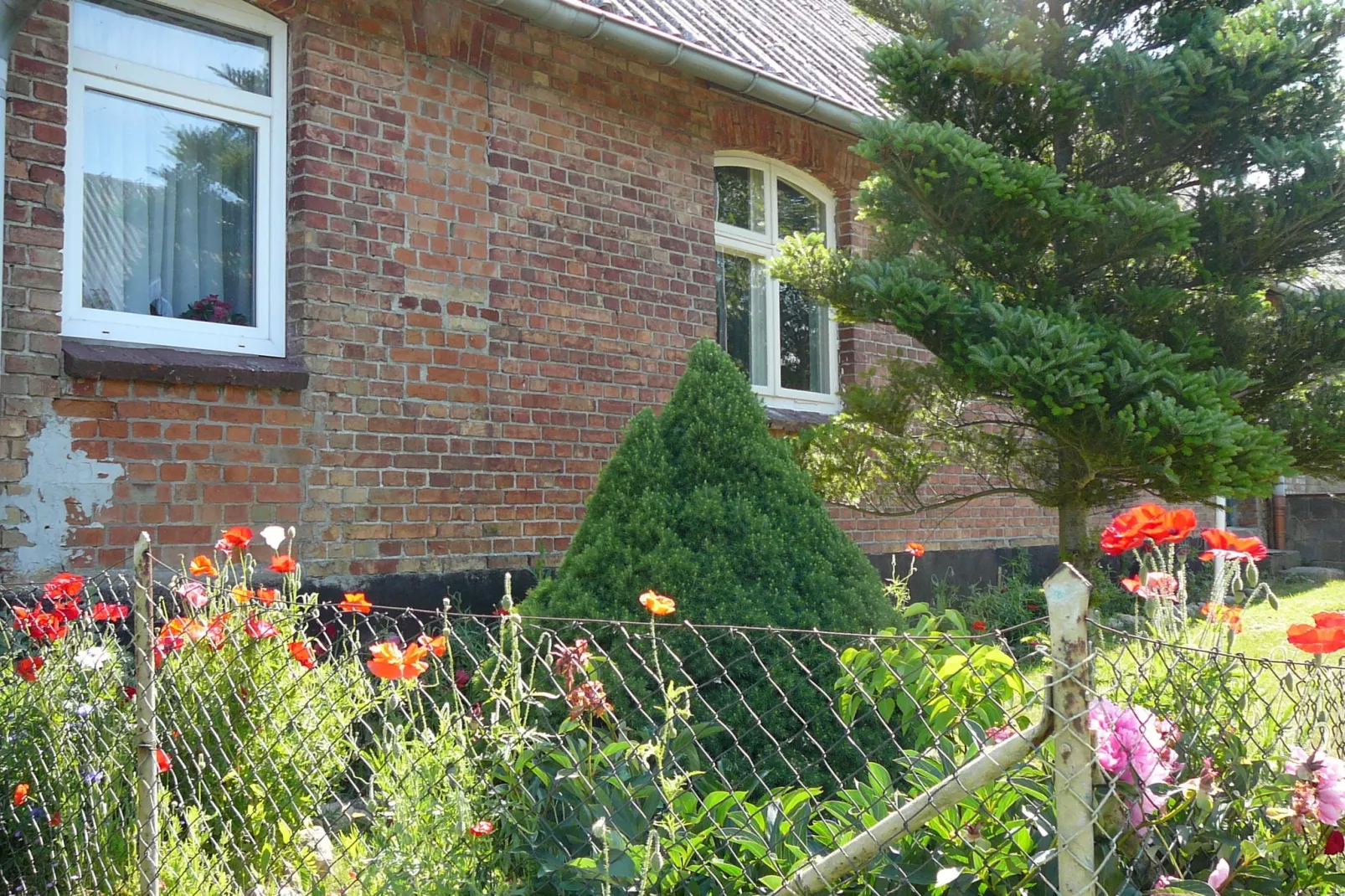 Vrijstaand vakantiehuis aan de Duitse Oostzeekust met tuin-Tuinen zomer