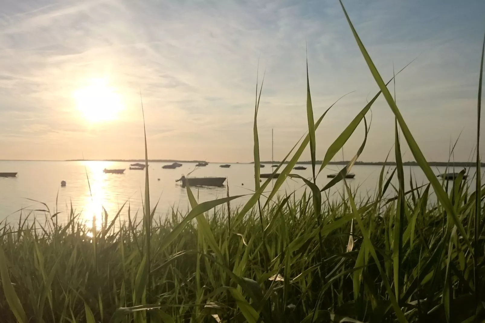 Vrijstaand vakantiehuis aan de Duitse Oostzeekust met tuin-Gebieden zomer 1km