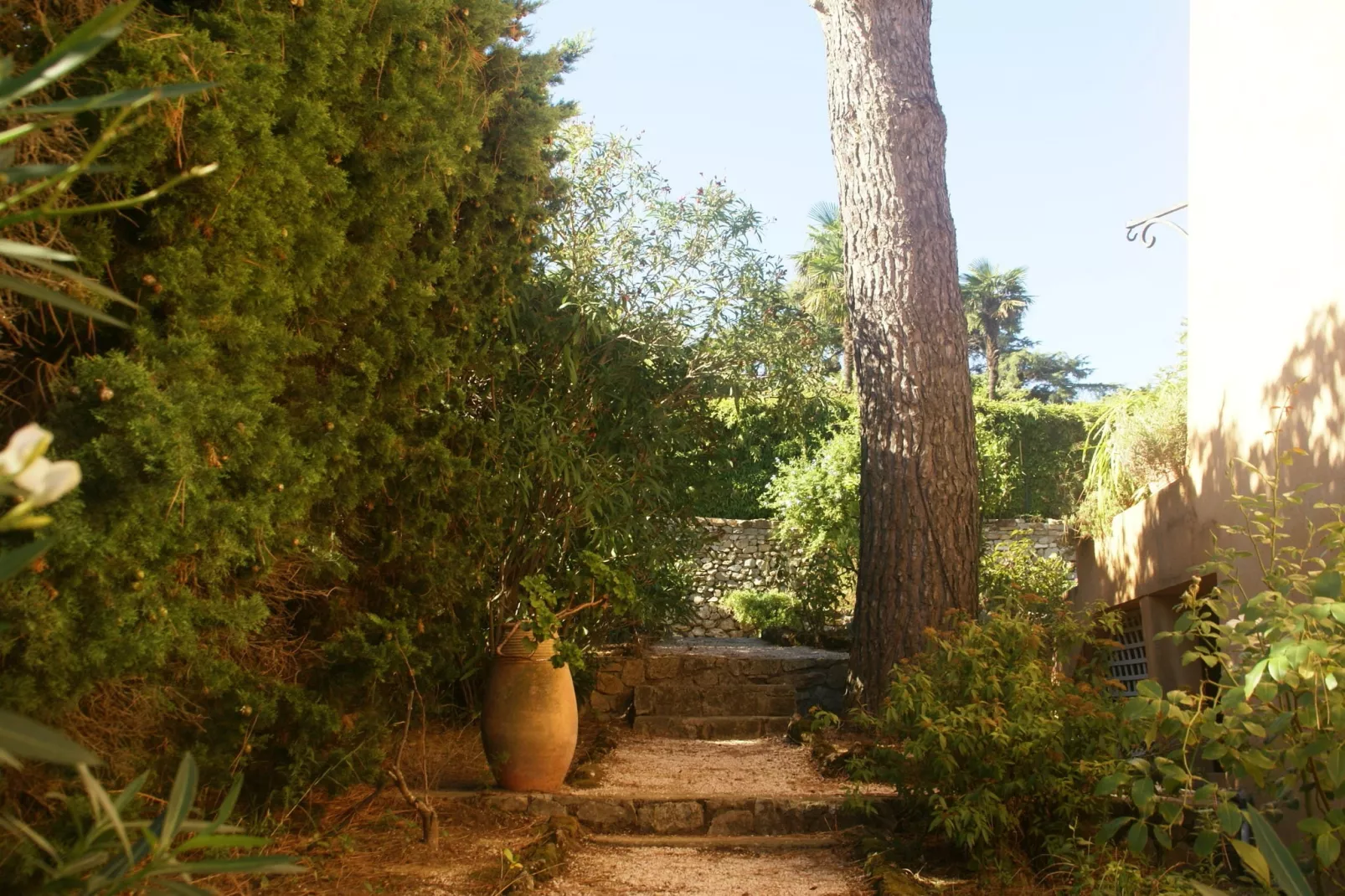 Villa Saint Tropez-Tuinen zomer