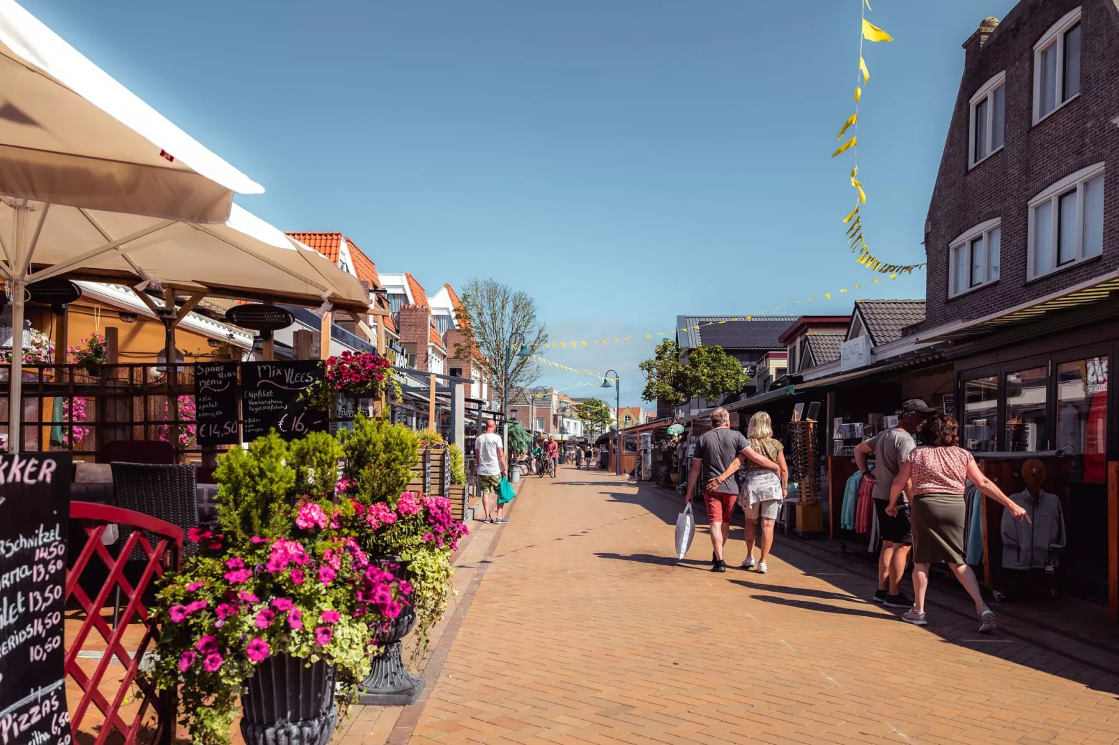 Bosch en Zee 4-Gebieden zomer 1km