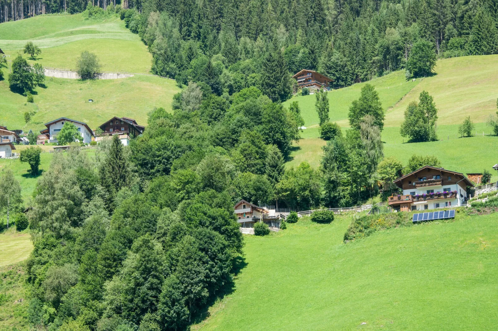 Apartment Heini Haus-Gebieden zomer 5km