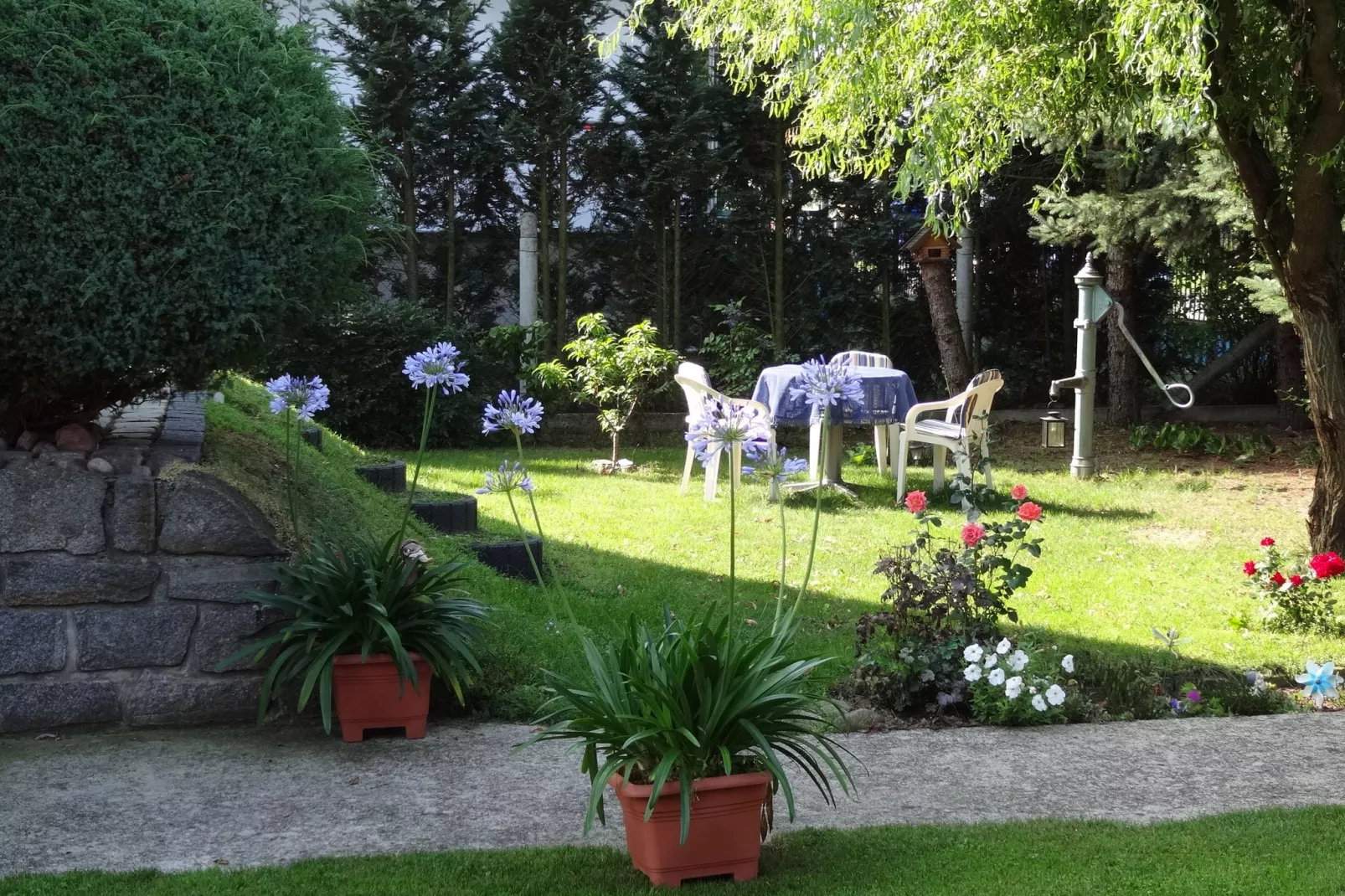 Ferienhaus Lausch-Tuinen zomer