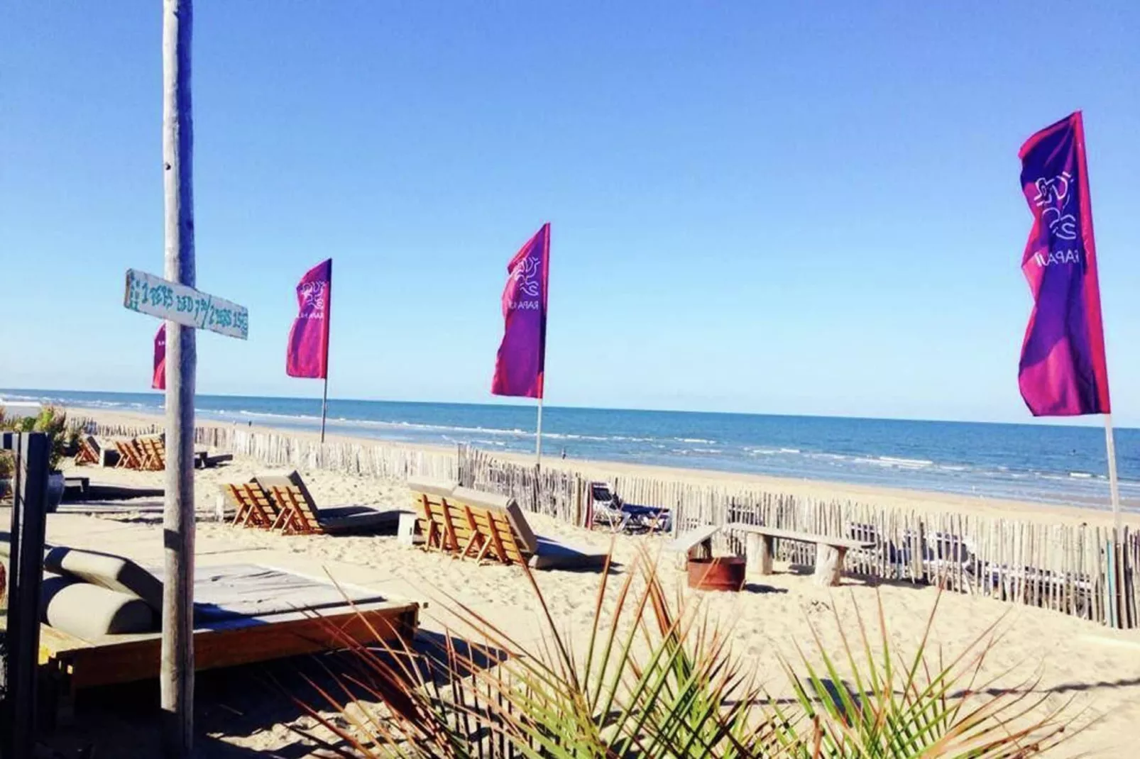 Sea Lodges Zandvoort  4-Gebieden zomer 1km