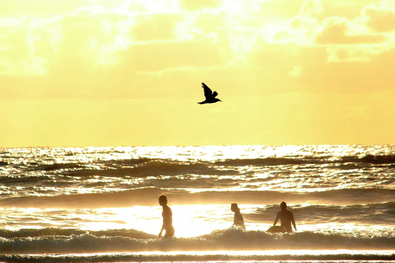 Sea Lodges Zandvoort 9-Gebieden zomer 1km