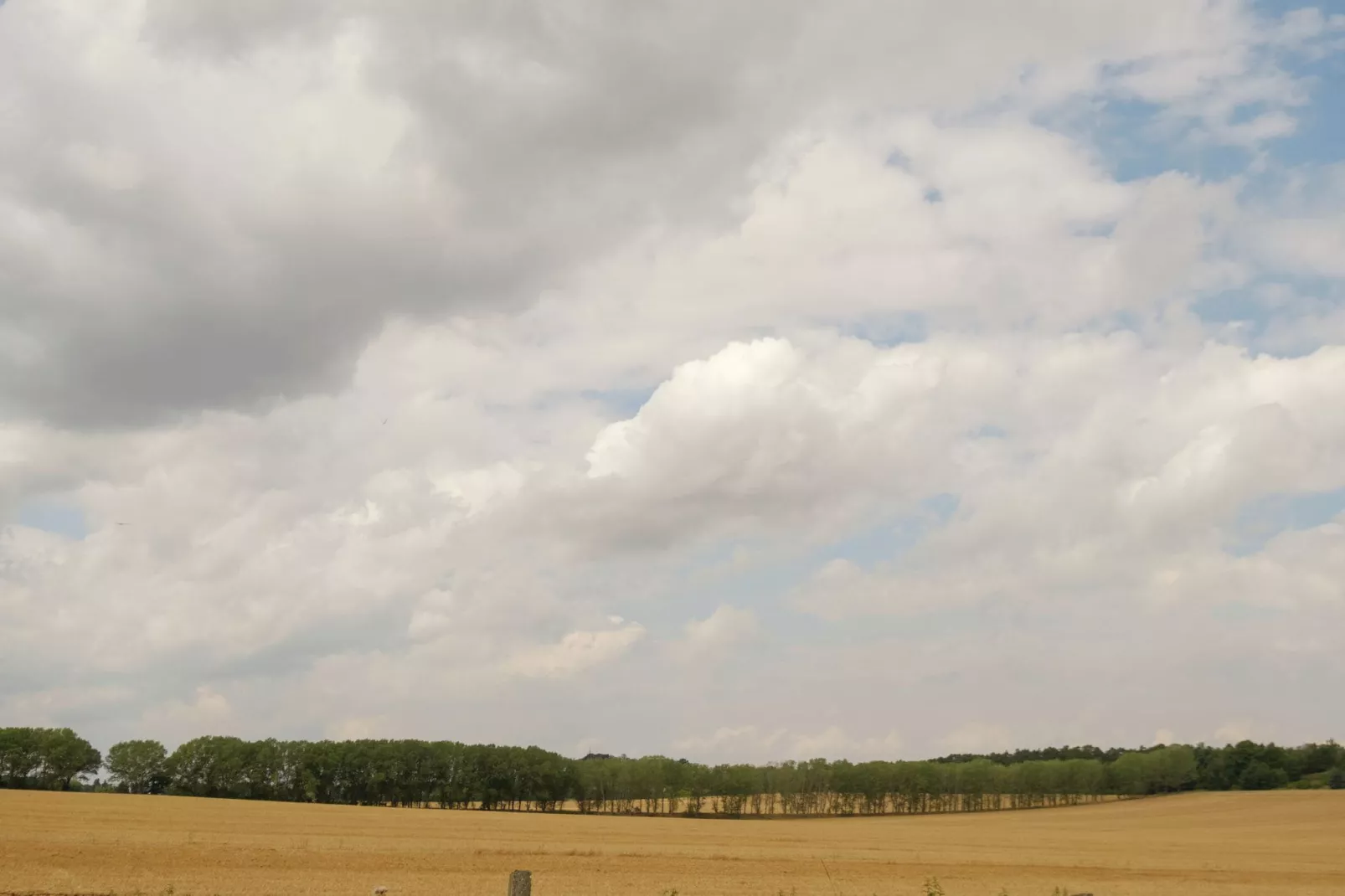 Ballenstedt-Gebieden zomer 1km