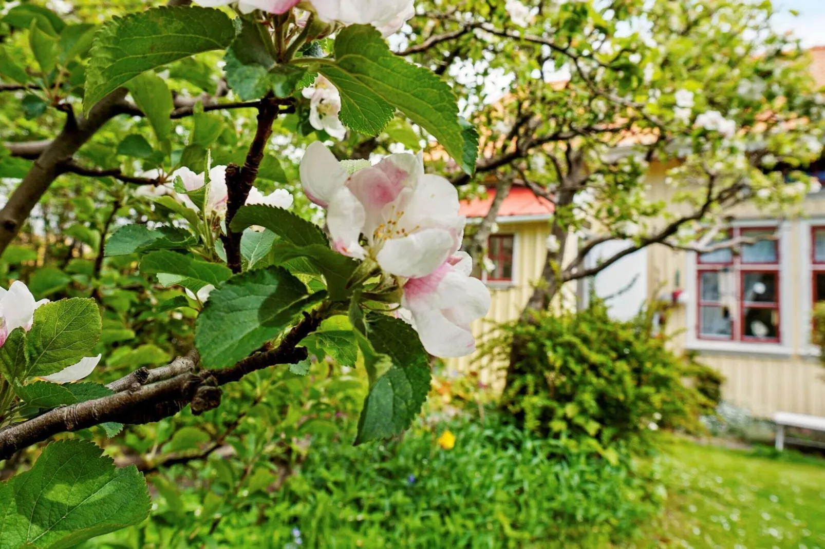2 persoons vakantie huis in LYSEKIL-Buitenlucht