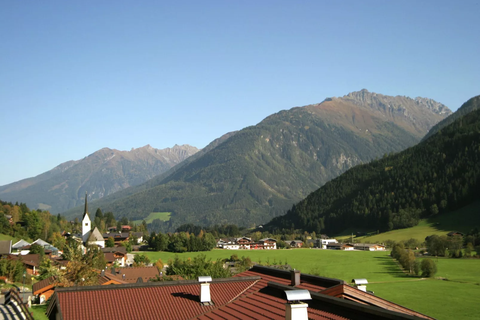 Chalets im Wald