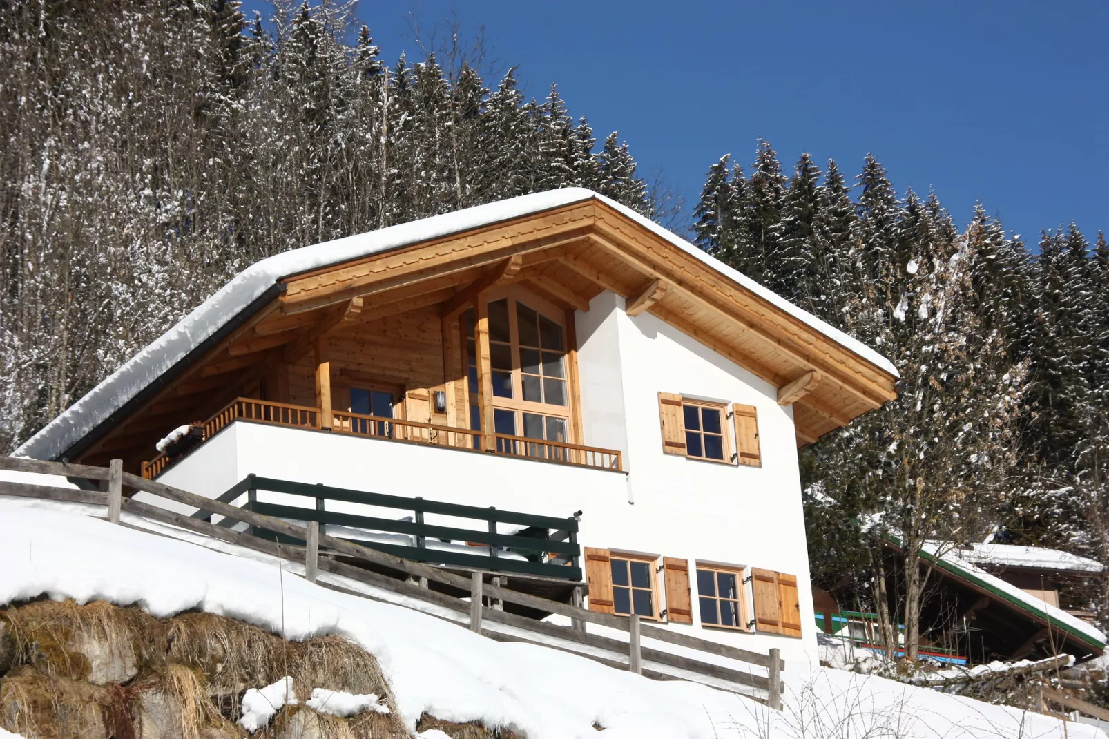 Chalets im Wald-Exterieur winter