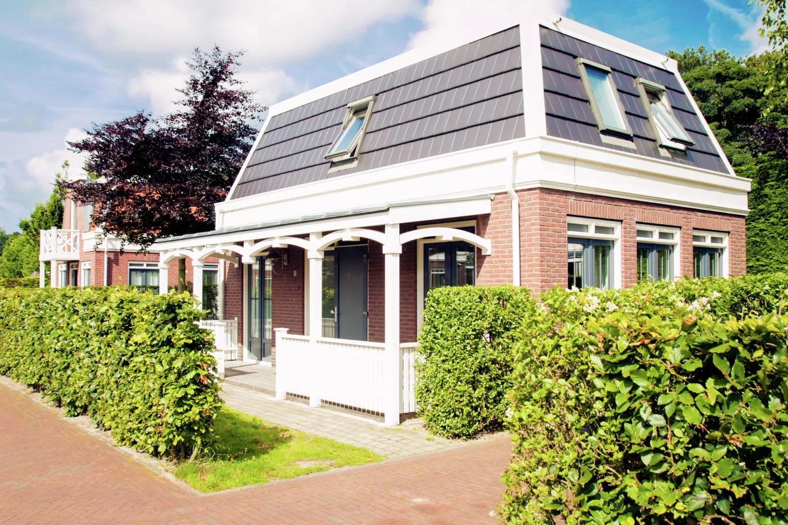 Bungalowparck Tulp en Zee 3