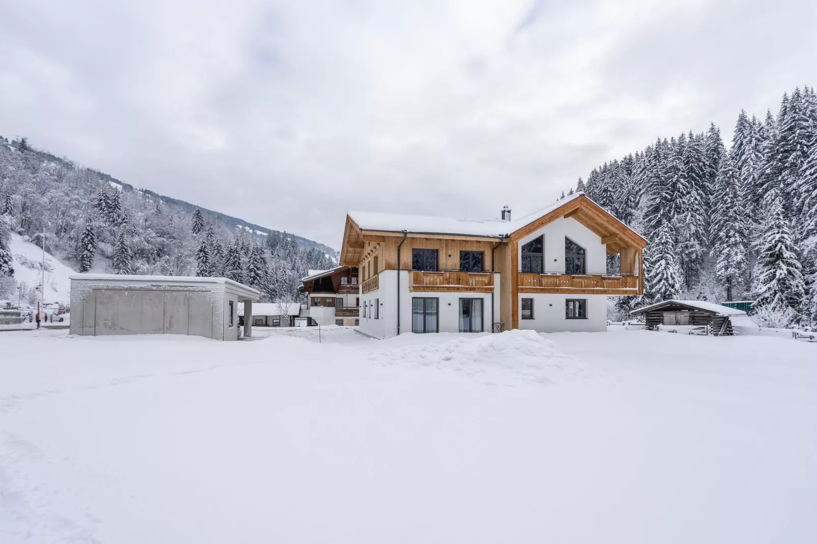 Saalach Penthouse 67-Exterieur winter