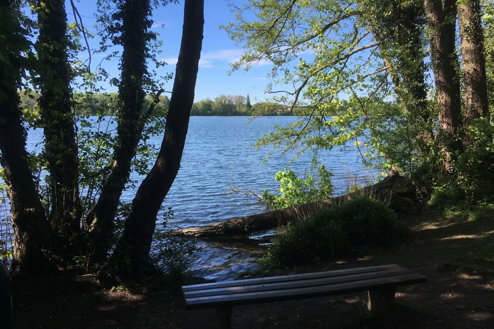 Ferienwohnung in Ostholsteinischen Schweiz-Gebieden zomer 1km