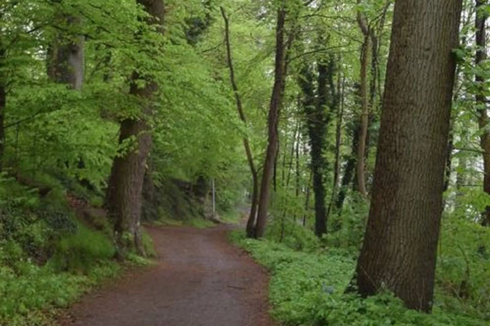 Ferienwohnung in Ostholsteinischen Schweiz-Gebieden zomer 5km