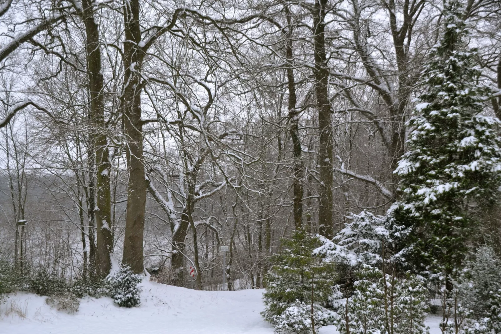 Ferienwohnung in Ostholsteinischen Schweiz-Uitzicht winter