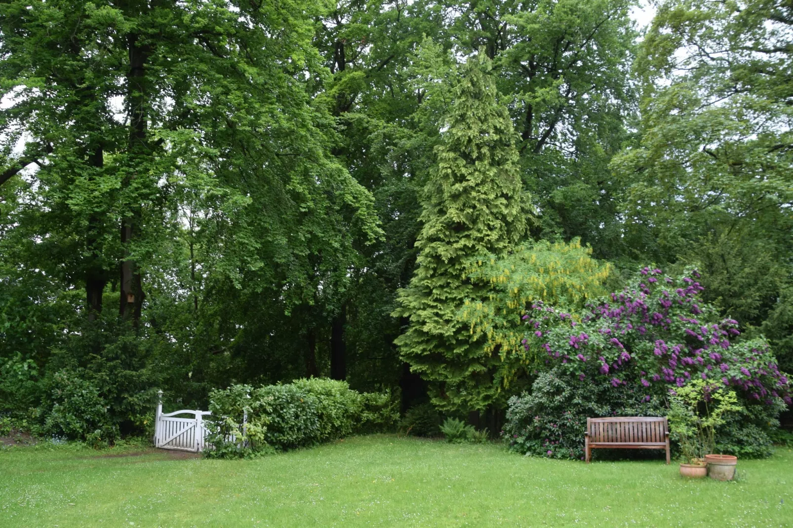Ferienwohnung in Ostholsteinischen Schweiz-Tuinen zomer