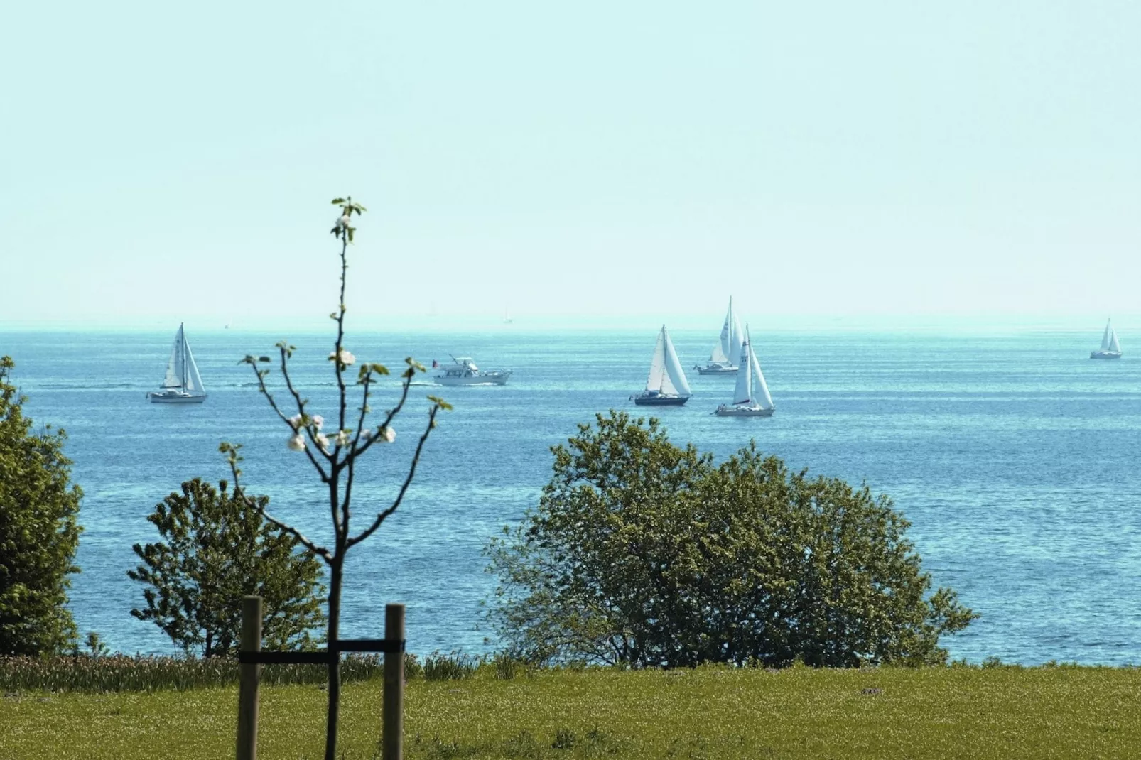 Hansapark Resort am Meer 2-Gebieden zomer 1km