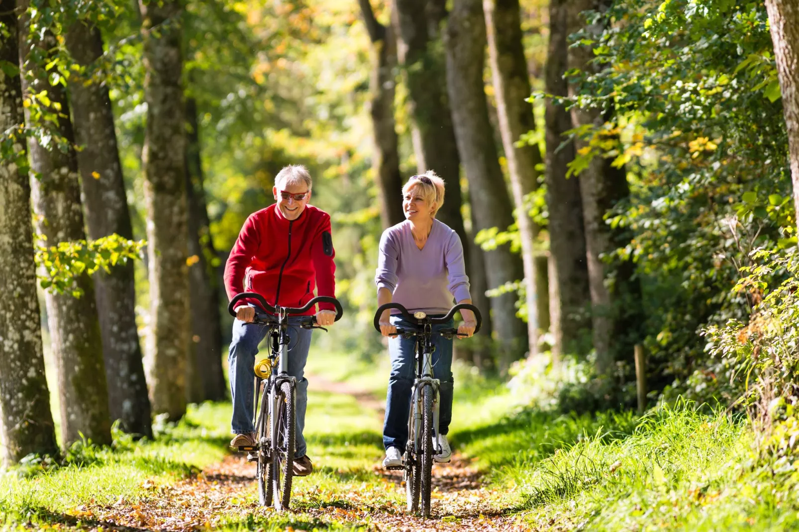 Bungalowpark het Verscholen Dorp 2-Gebieden zomer 20km
