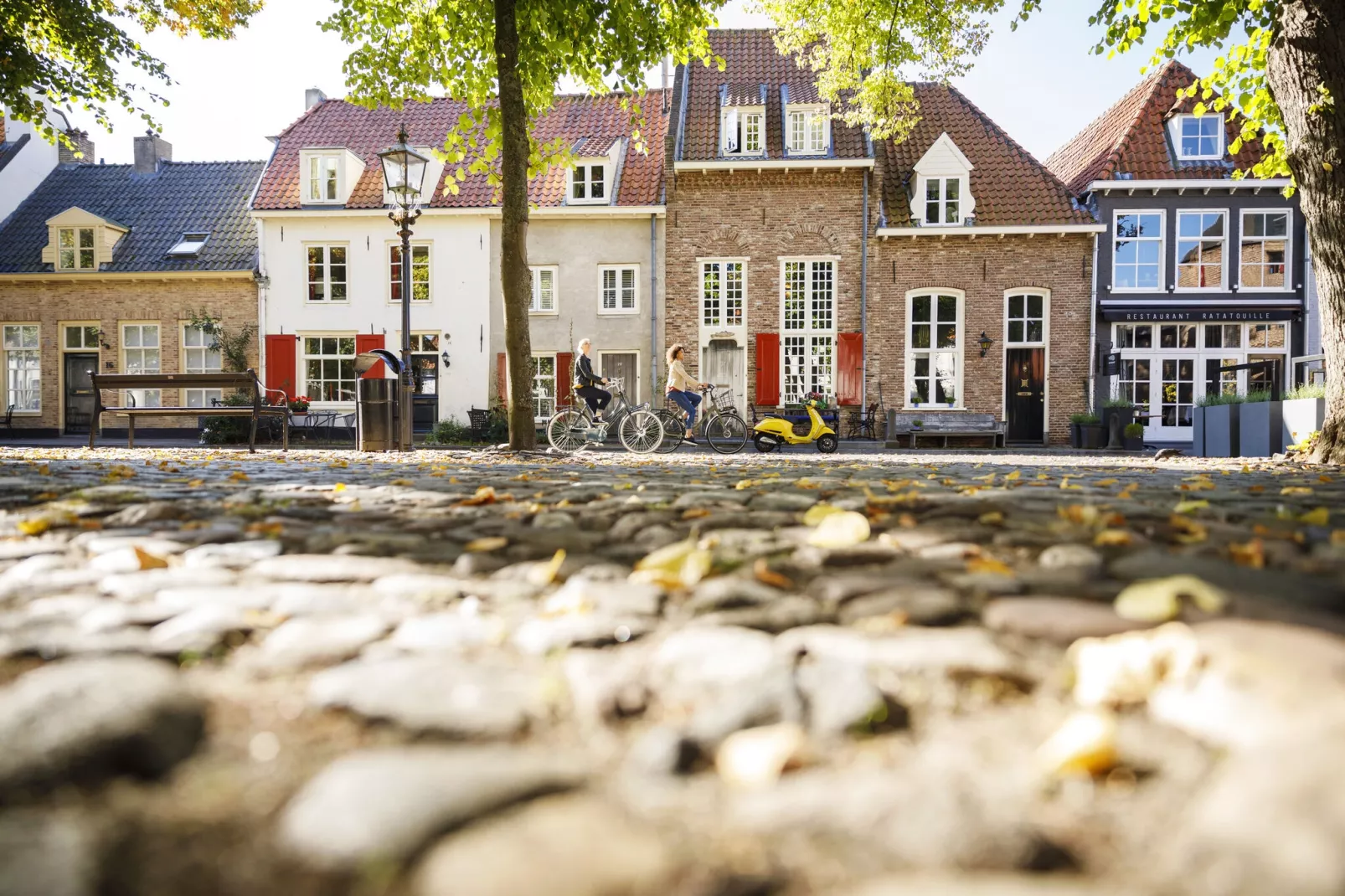 Bungalowpark het Verscholen Dorp 2-Gebieden zomer 20km