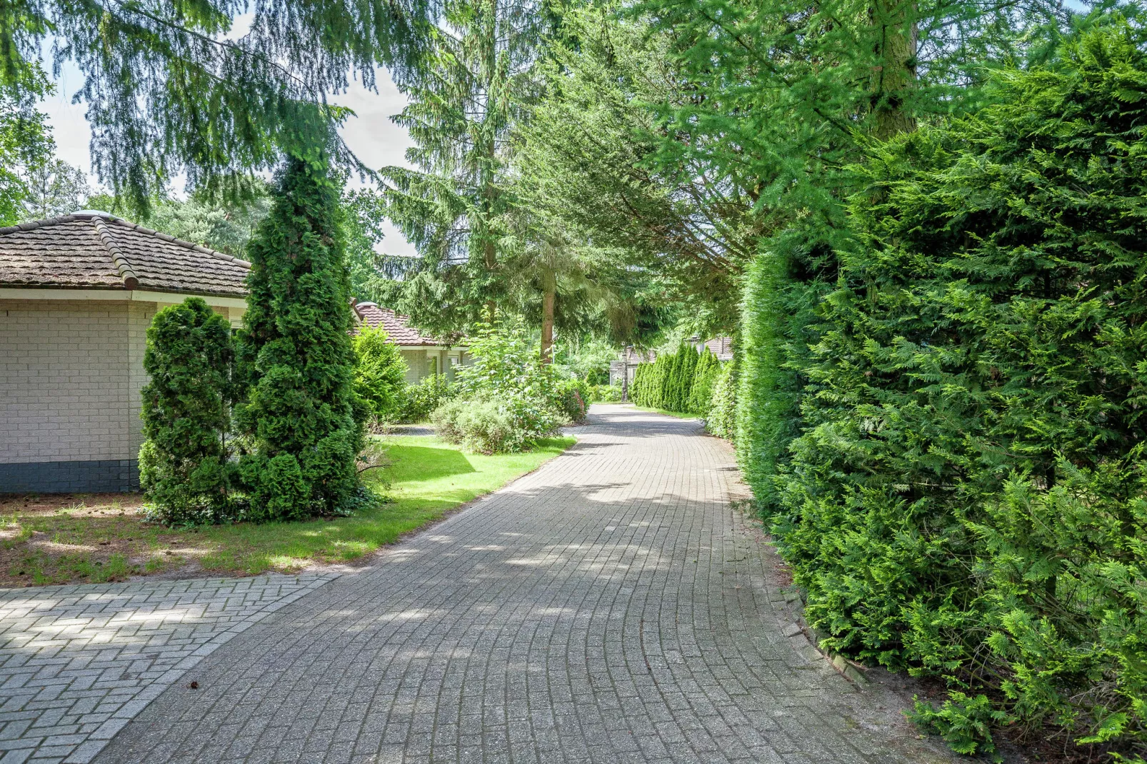 Bungalowpark het Verscholen Dorp 3-Gebieden zomer 1km