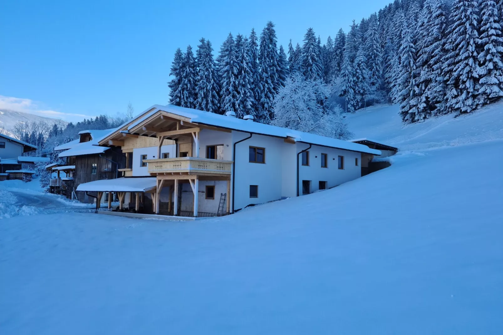 Reisrachhof - App 2-Exterieur winter