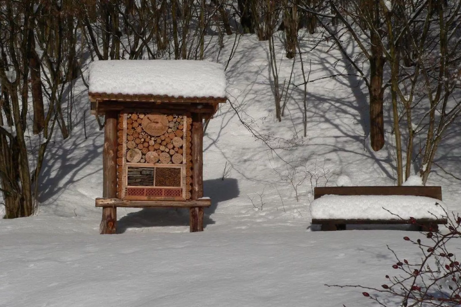 Sauerland-Gebied winter 1km