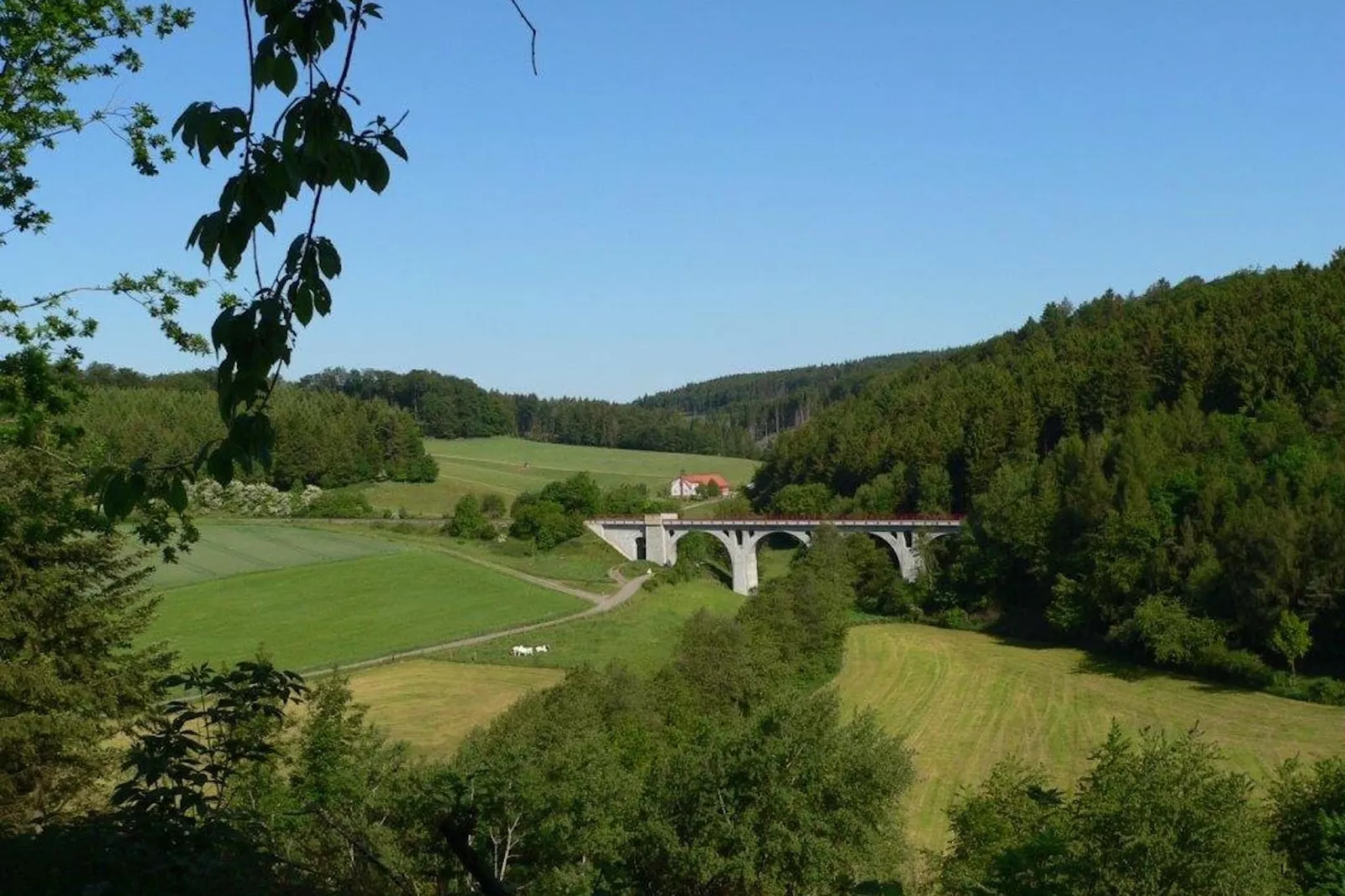 Sauerland-Gebieden zomer 5km