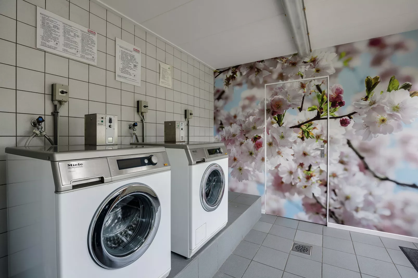 Bungalowpark het Verscholen Dorp 5-Parkfaciliteiten
