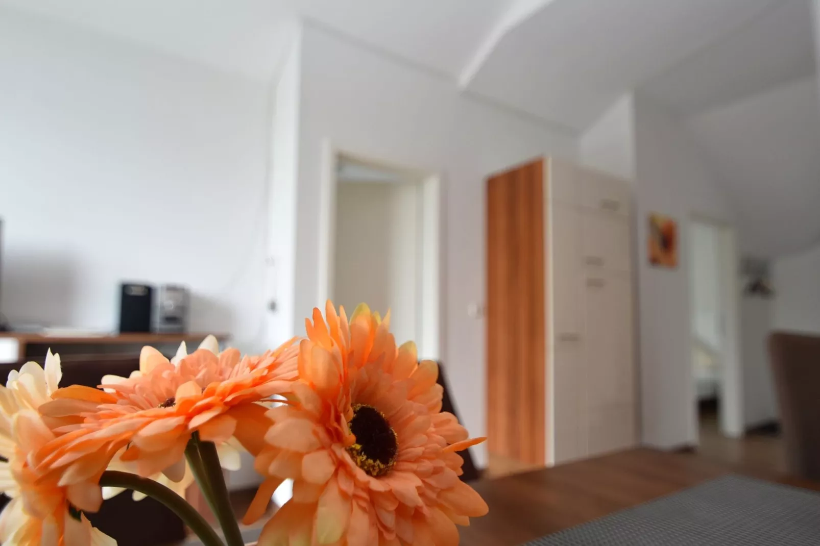 Appartement Willingen-Overloop