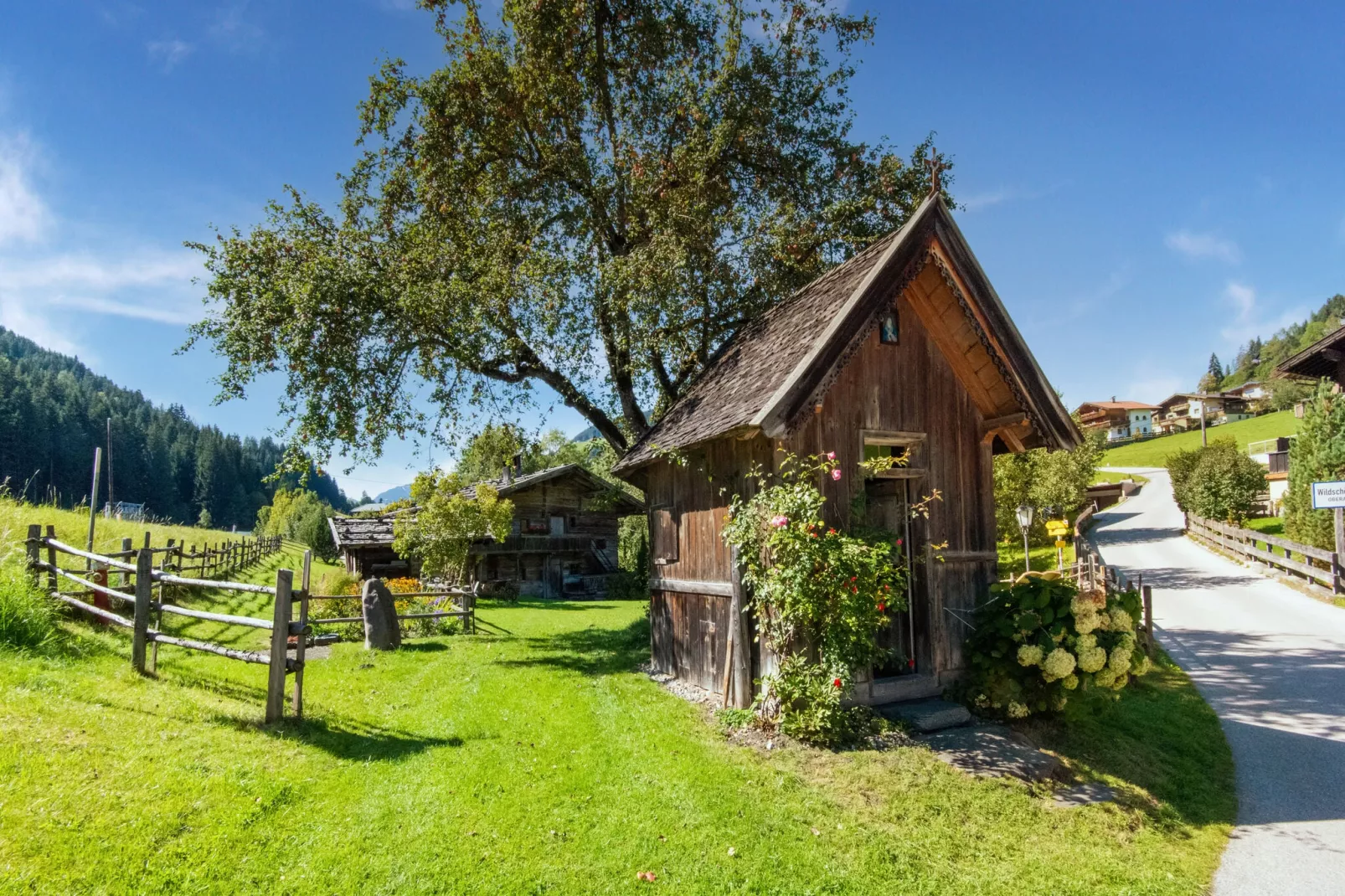 Apart Wildschönau 2-Uitzicht zomer