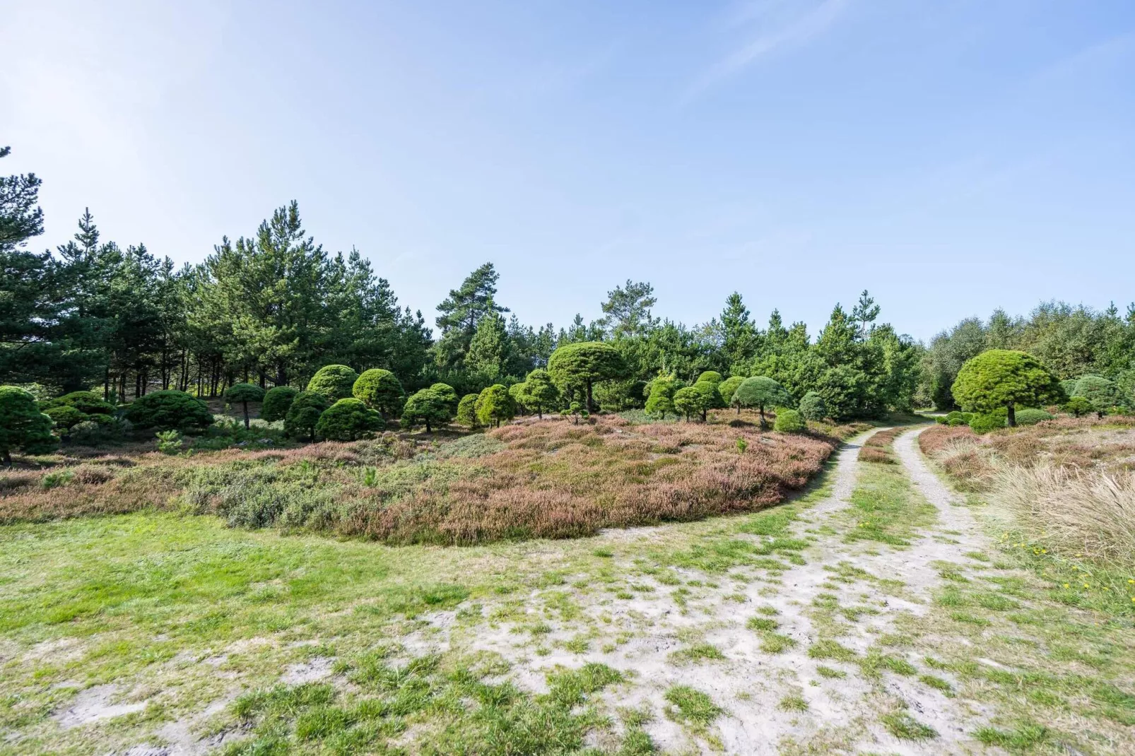 6 persoons vakantie huis in Blåvand-Uitzicht
