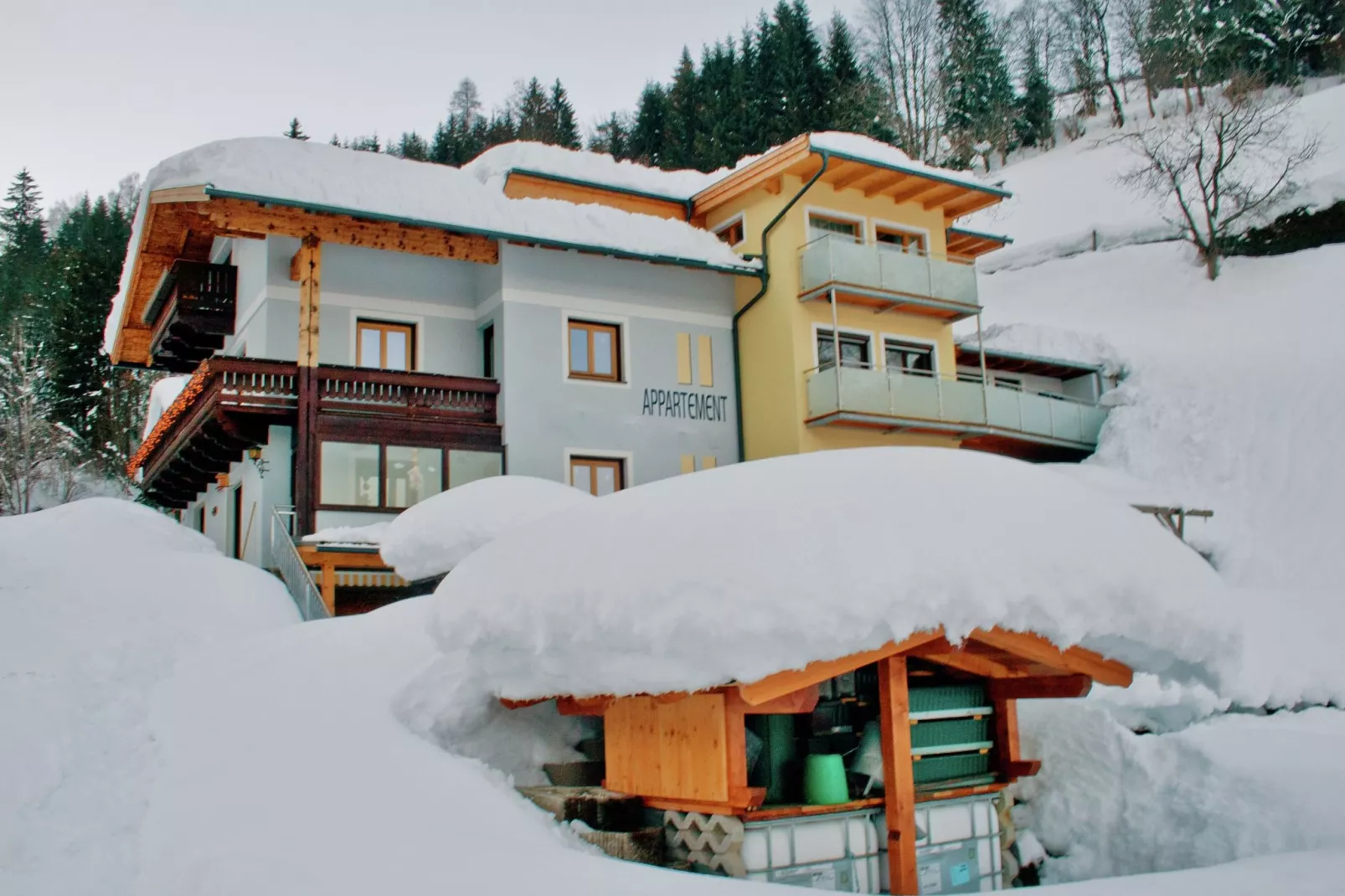 exteriorwinter