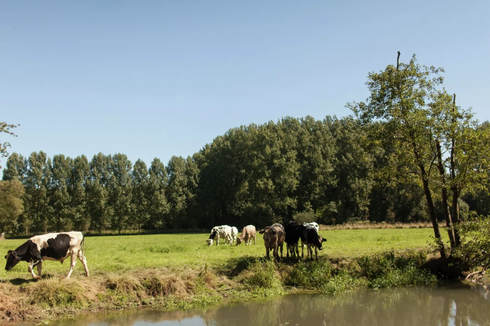 Maison Le Ponchel-Gebieden zomer 1km