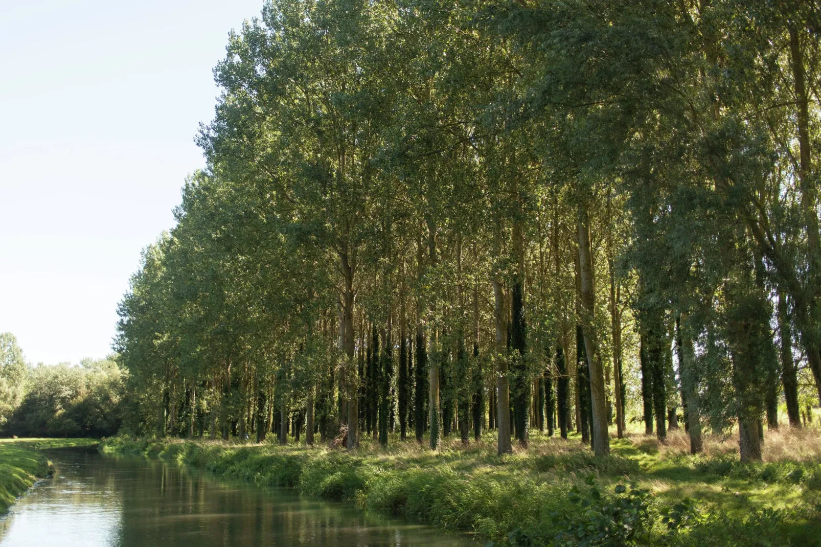 Maison Le Ponchel-Gebieden zomer 1km