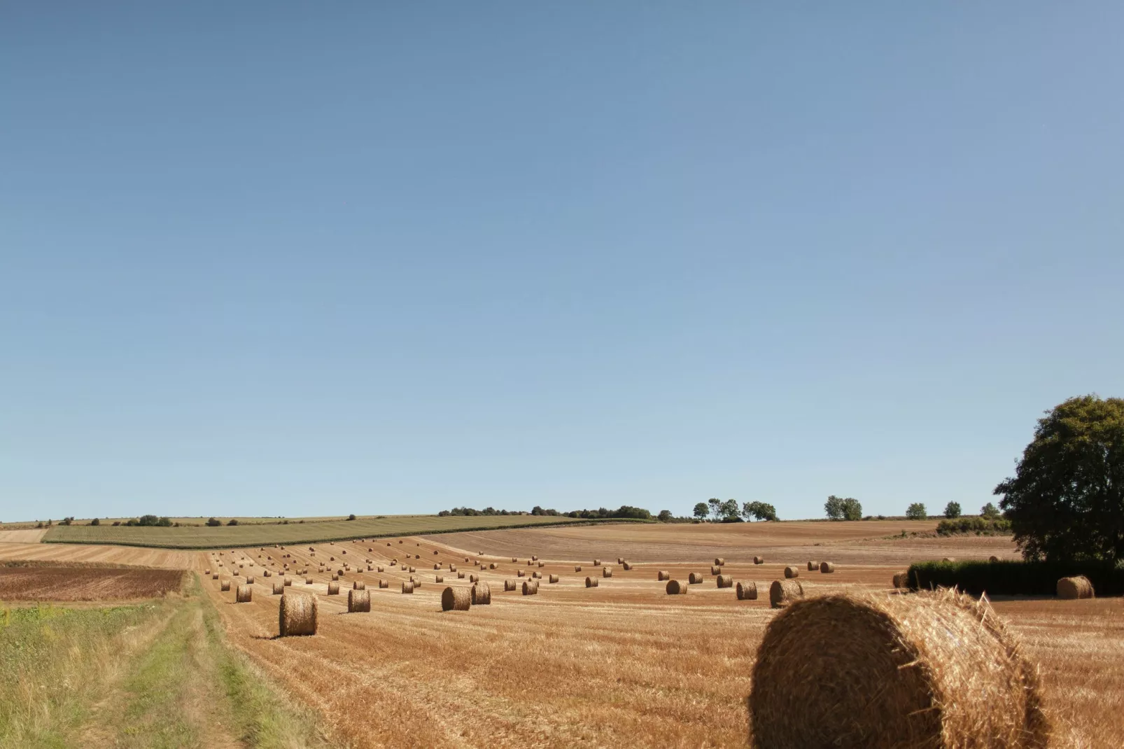 Maison Le Ponchel-Gebieden zomer 1km