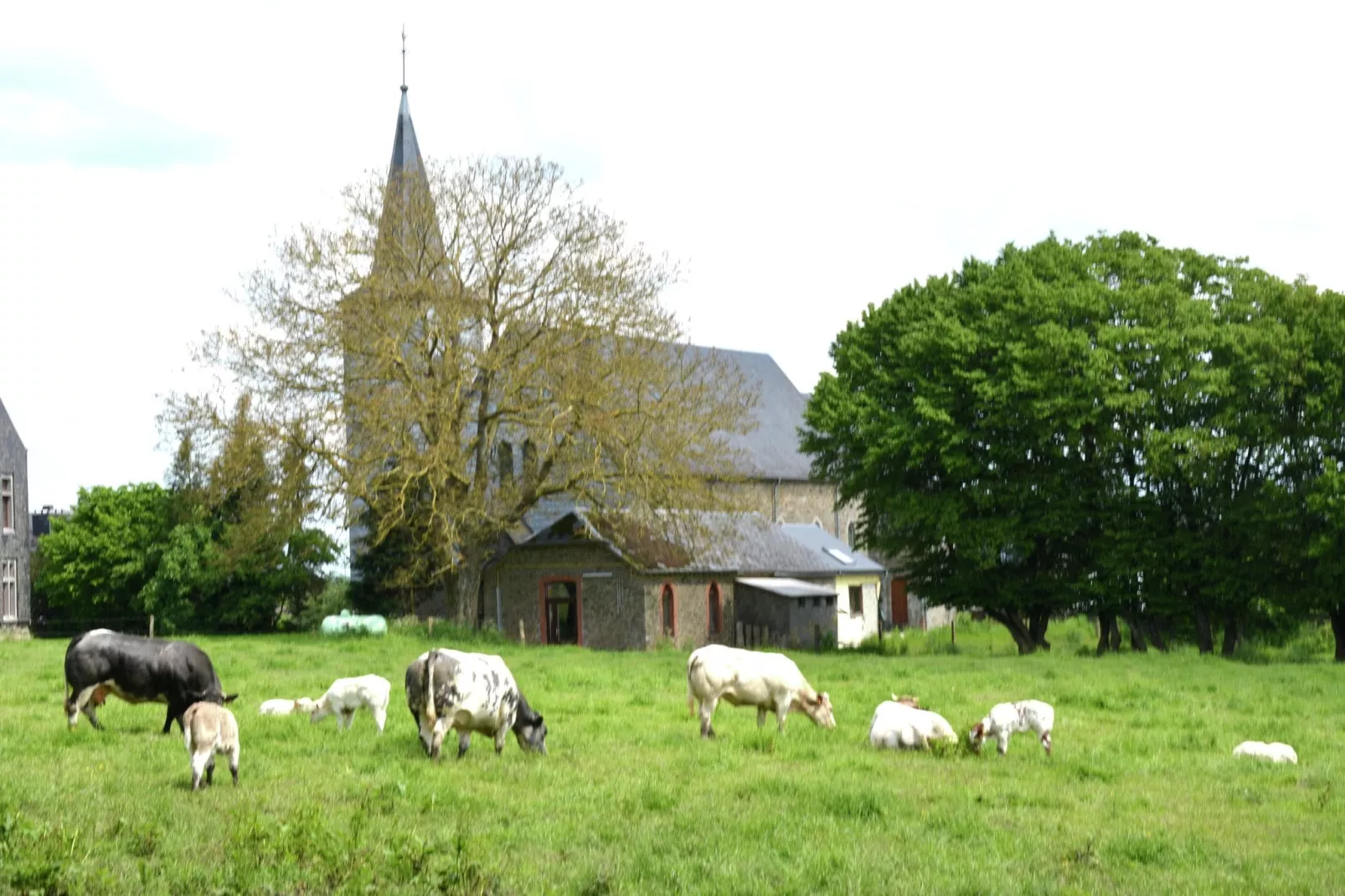 Coeur de Boeur-Gebieden zomer 1km