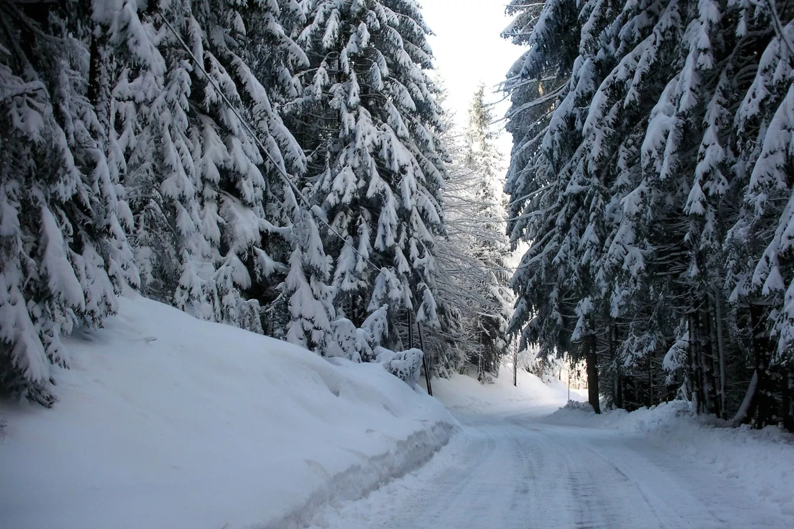 Barzaunerhof-Gebied winter 1km