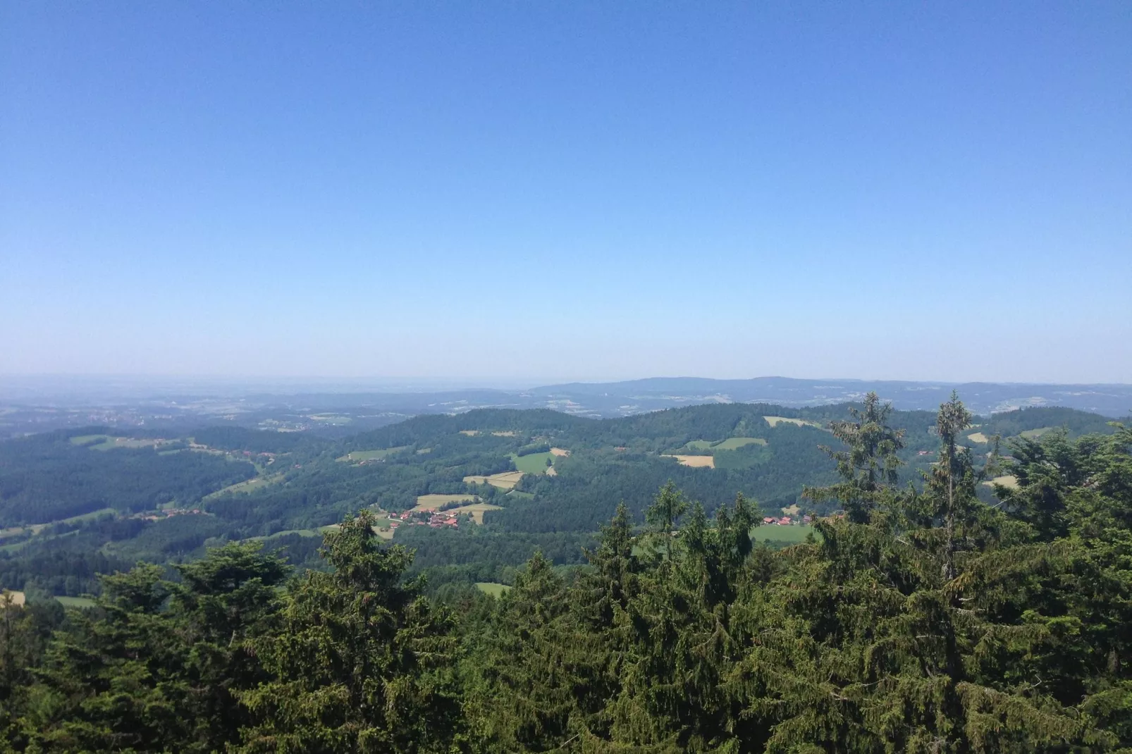 Im Bayerischen Wald-Gebieden zomer 20km