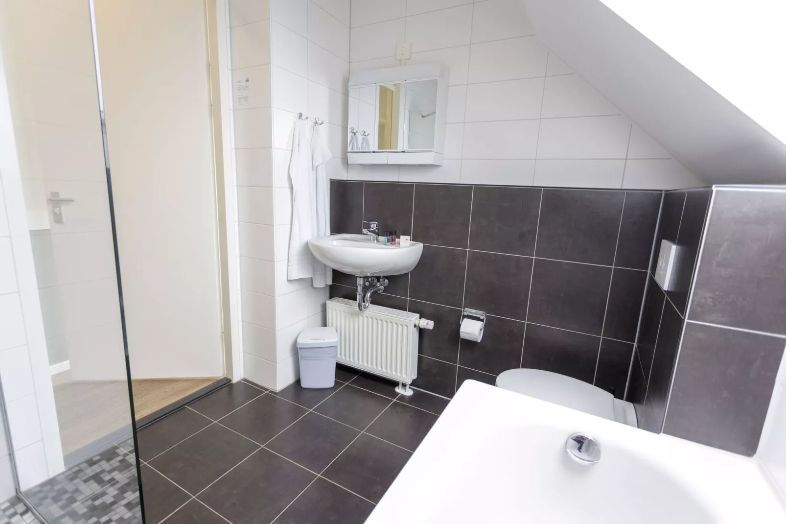 Resort Eifeler Tor 8-Badkamer