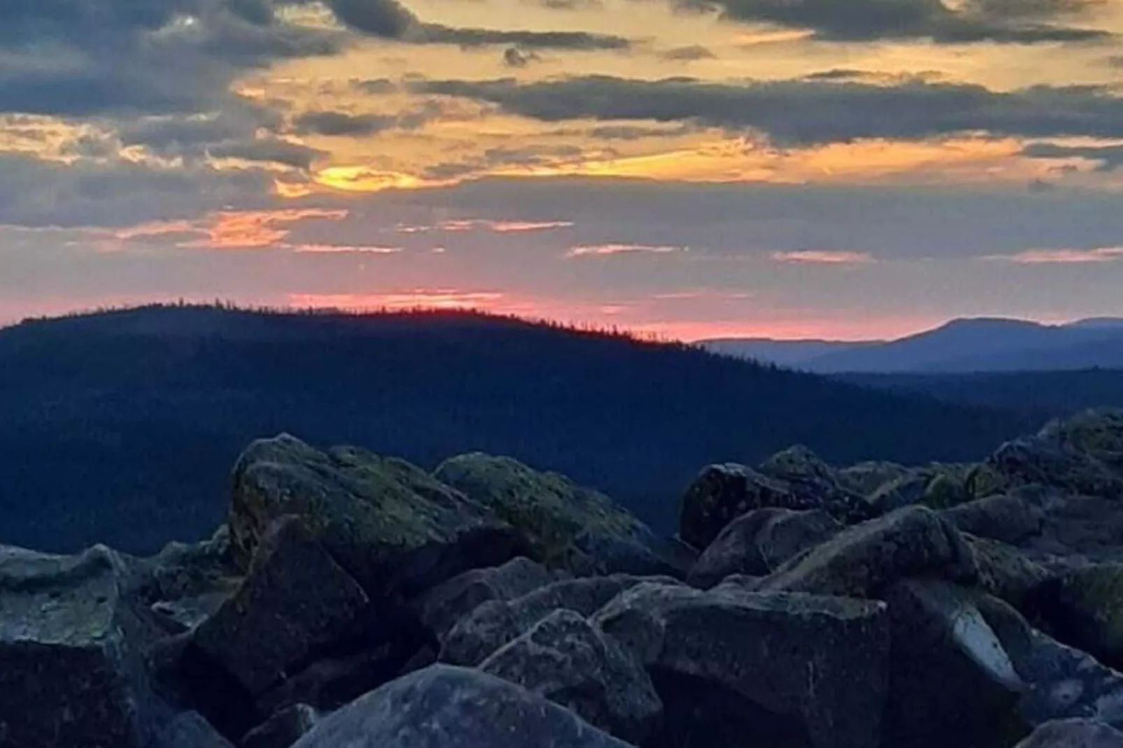 Im Bayerischen Wald-Gebieden zomer 1km