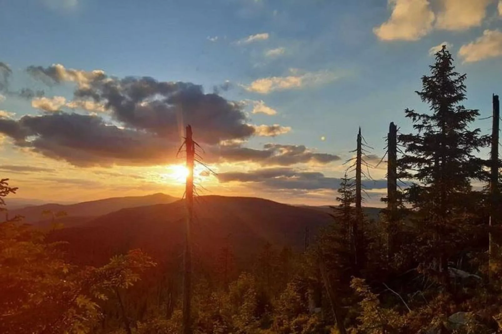 Im Bayerischen Wald-Gebieden zomer 1km