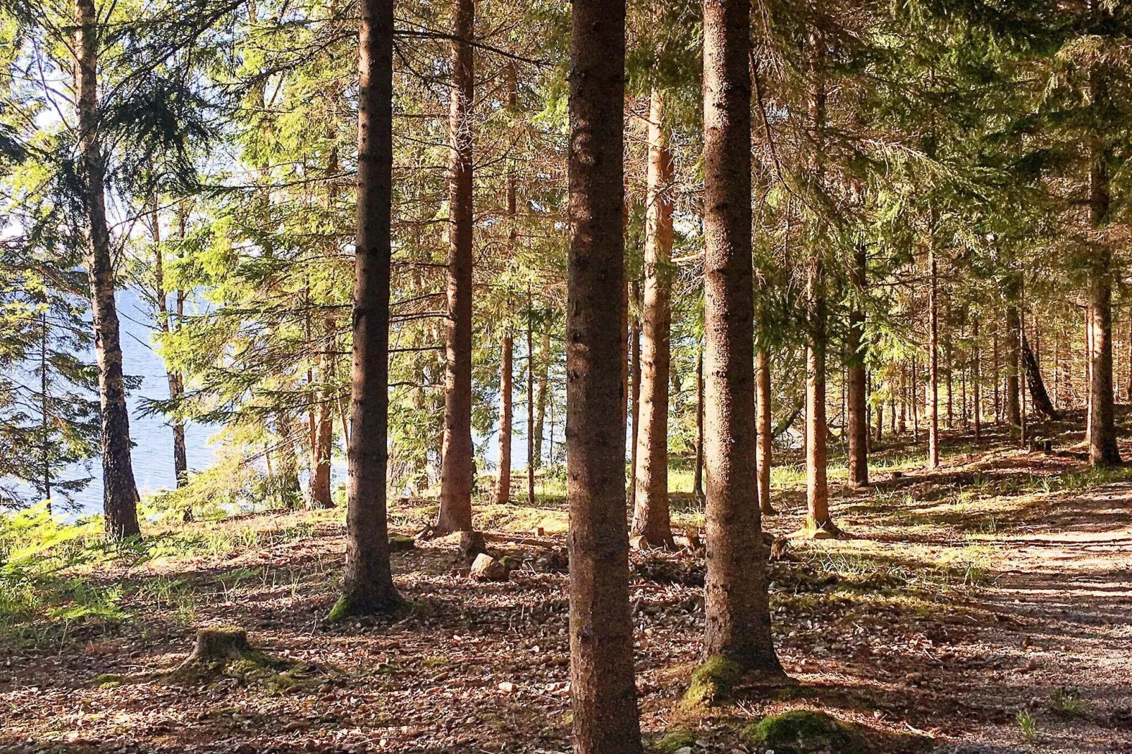 6 persoons vakantie huis in NYKVARN-Niet-getagd