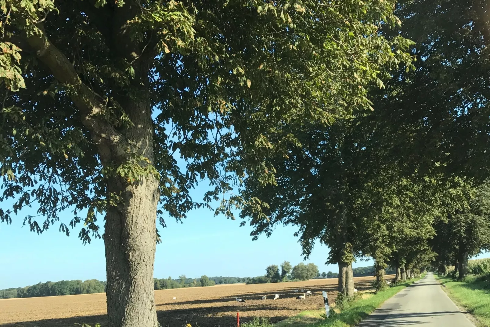 Komfortable Familienwohnung 2-Gebieden zomer 5km