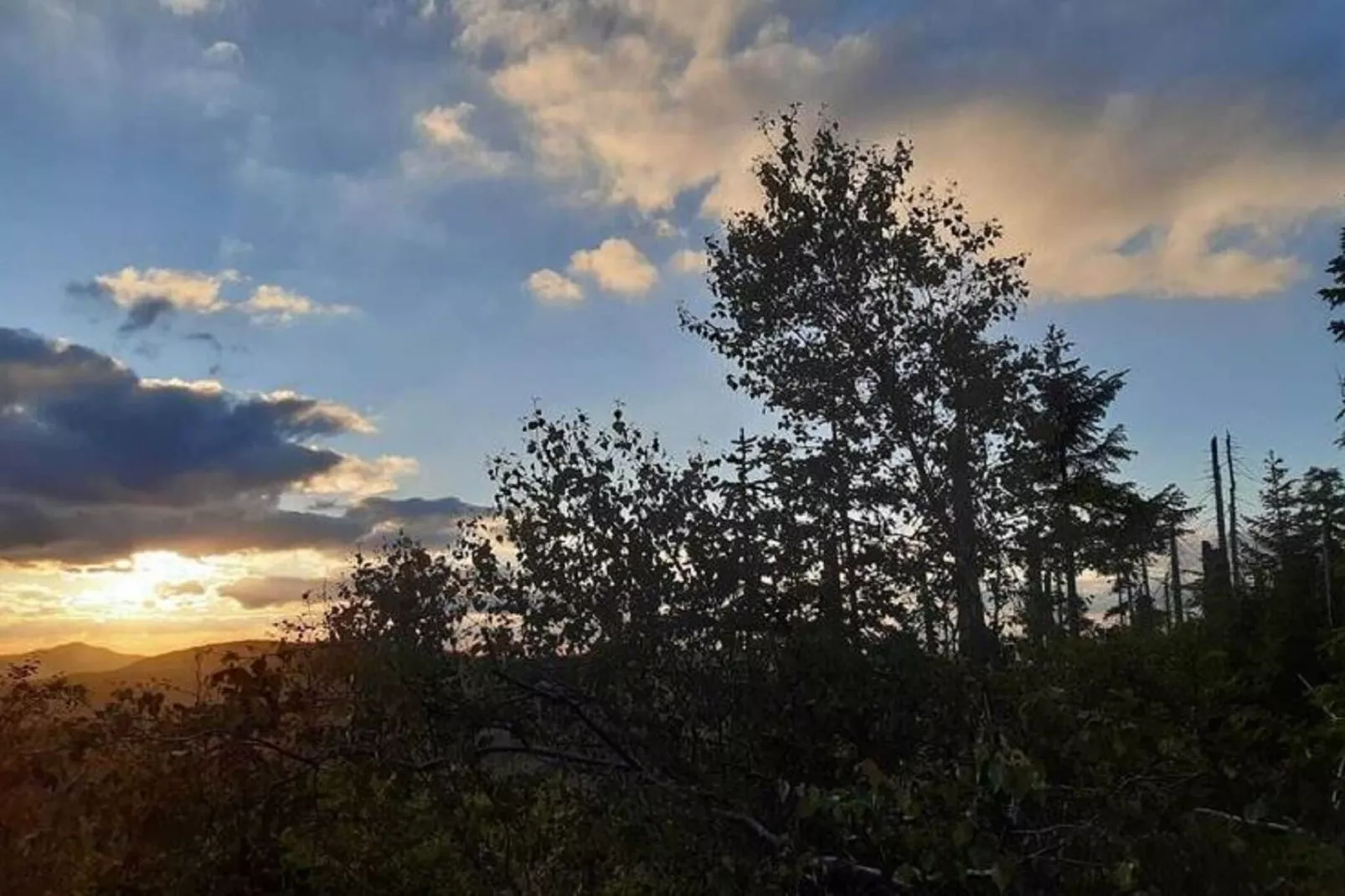 Im Bayerischen Wald-Gebieden zomer 1km