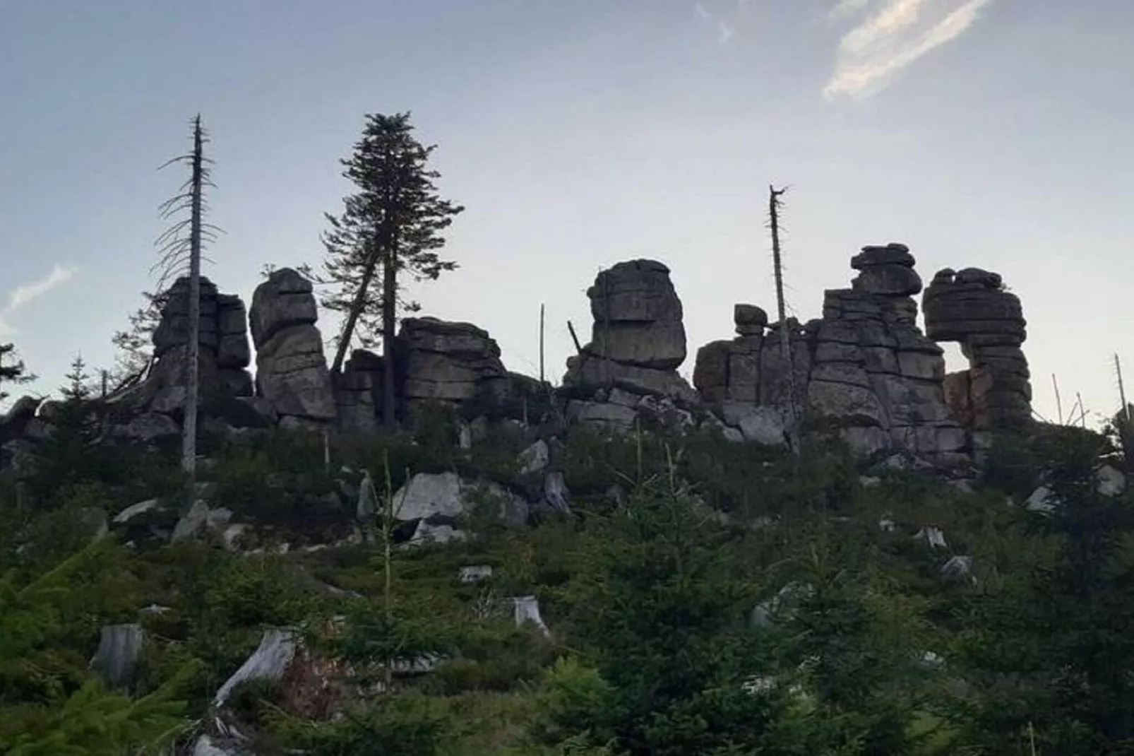 Im Bayerischen Wald-Gebieden zomer 1km