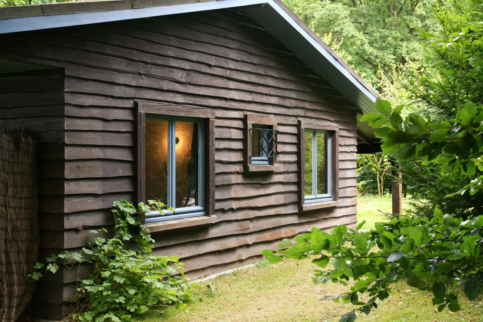 Cabane panoramique