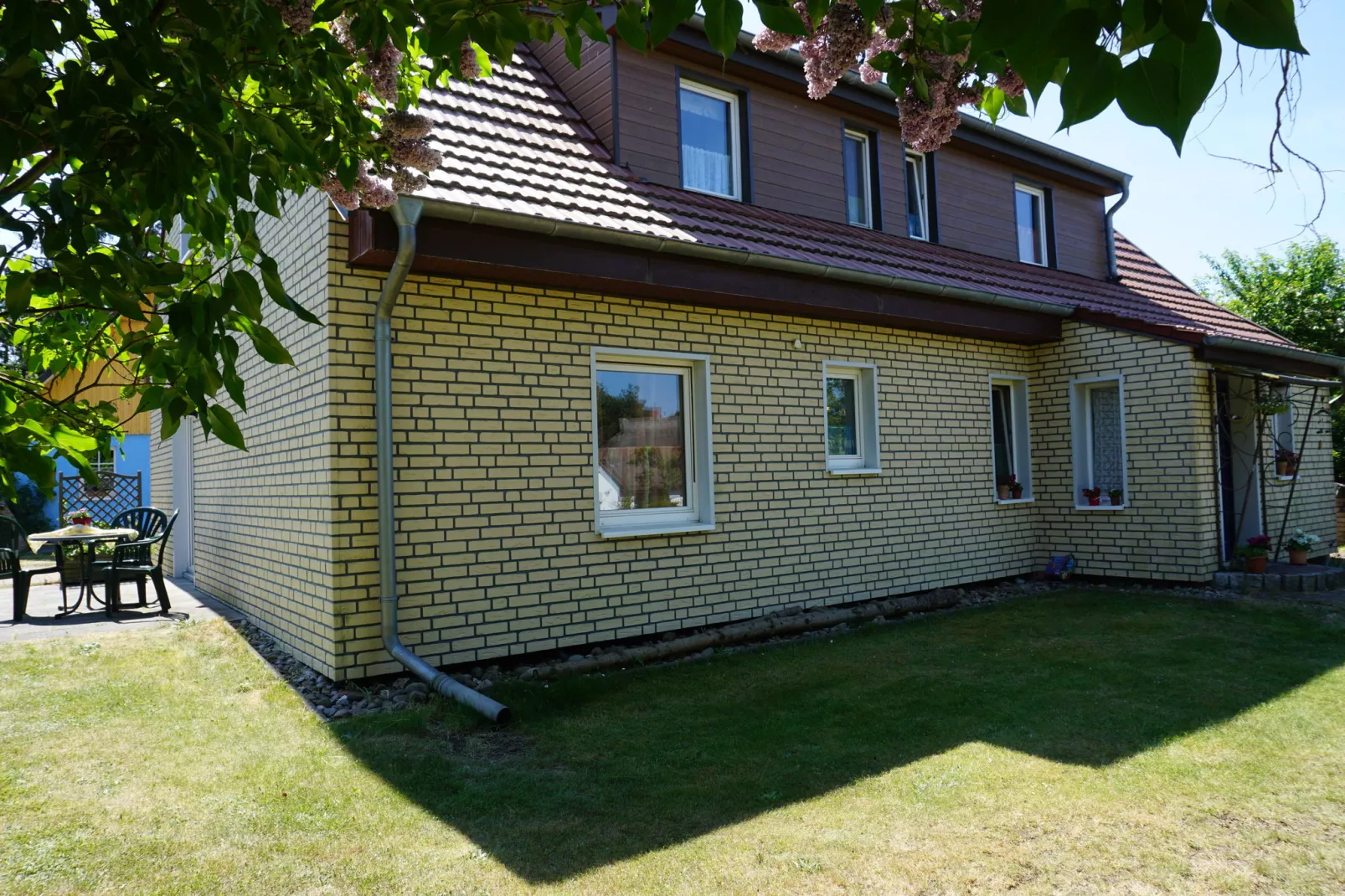 Sunflower A Halbinsel Fischland Darß-Tuinen zomer