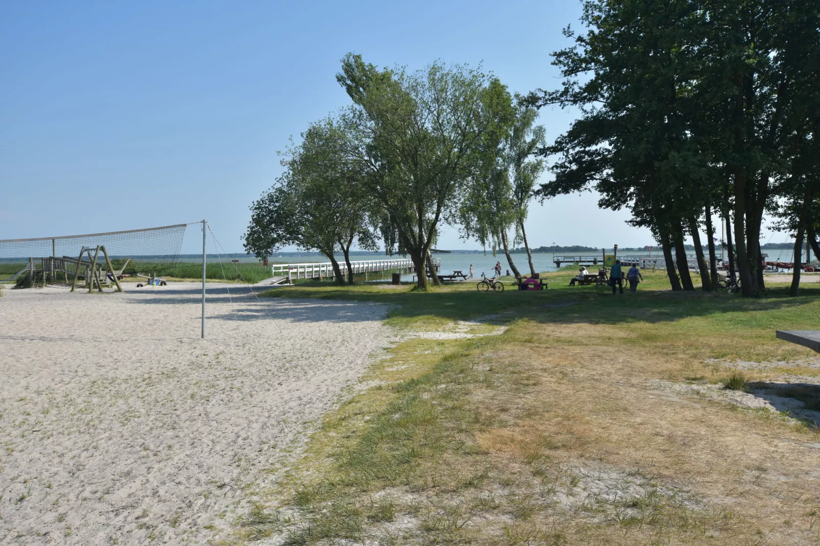 Sunflower A Halbinsel Fischland Darß-Gebieden zomer 1km