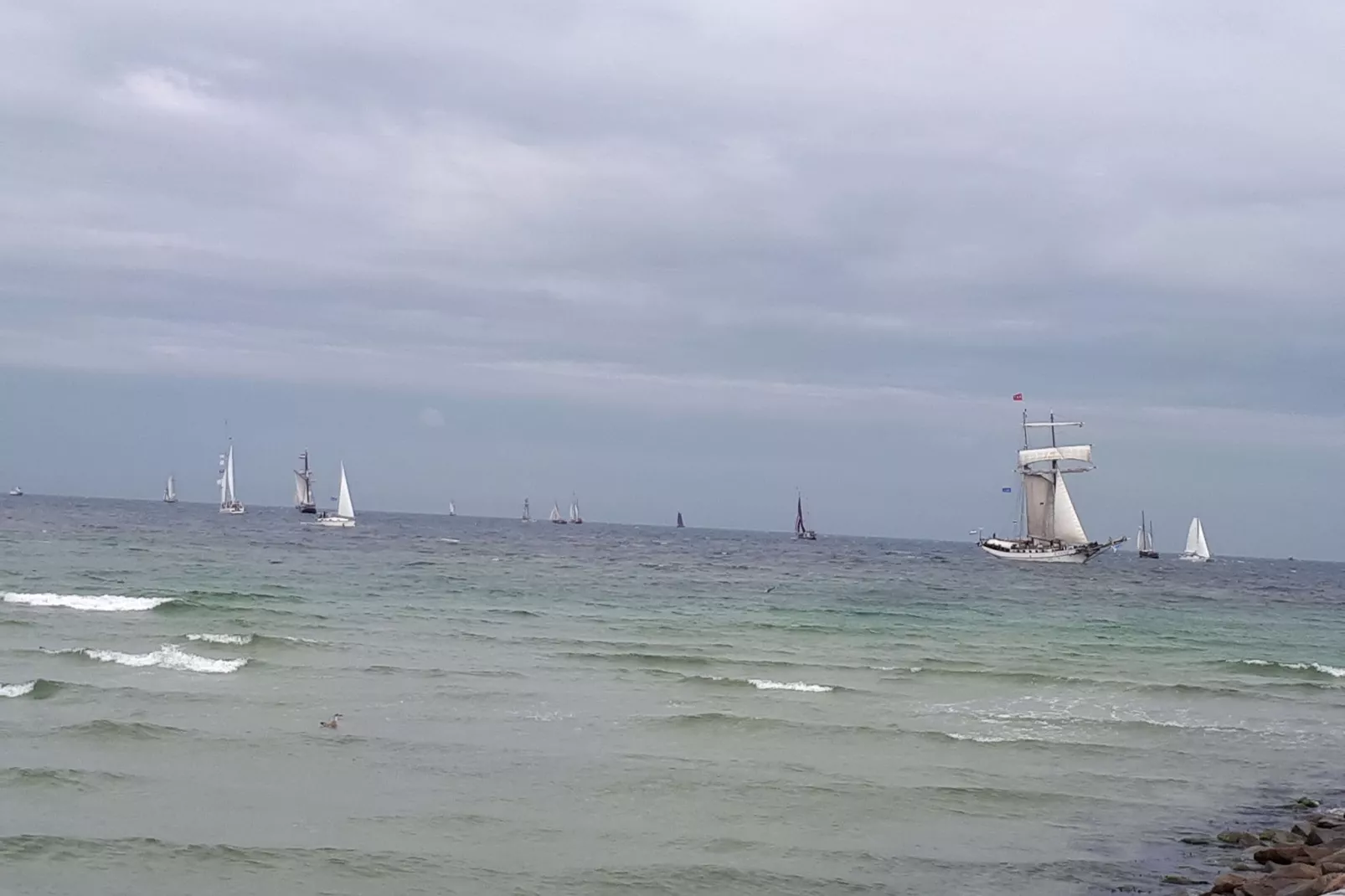 Sunflower A Halbinsel Fischland Darß-Gebieden zomer 20km